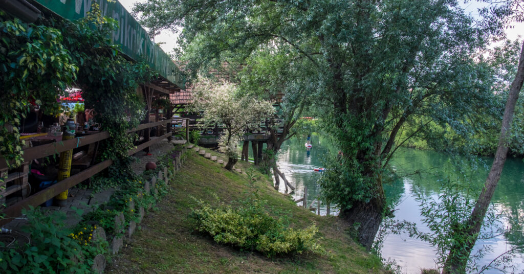 Piknik ob Ljubljanici