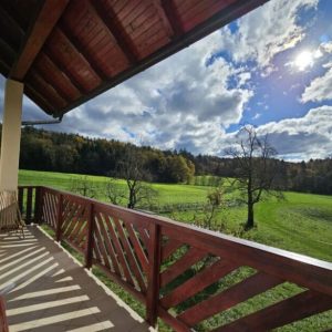 Hiša Lukš prostori za poslovne dogodke